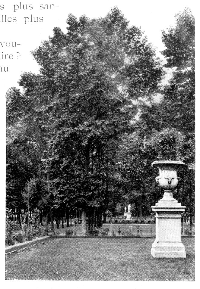 Clément Maurice Paris en plein air, BUC, 1897,039 sans titre (Jardin du Luxembourg)