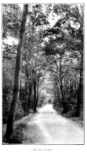 Clément Maurice Paris en plein air, BUC, 1897,081 Une allée du Bois