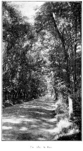 Clément Maurice Paris en plein air, BUC, 1897,090 Une allée du Bois