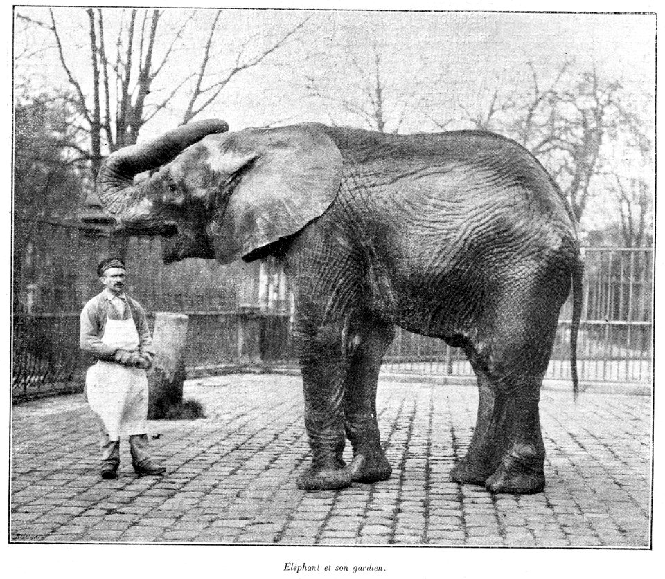 Clément Maurice Paris en plein air, BUC, 1897,129 Éléphant et son gardien