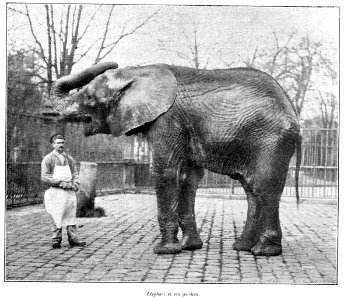 Clément Maurice Paris en plein air, BUC, 1897,129 Éléphant et son gardien