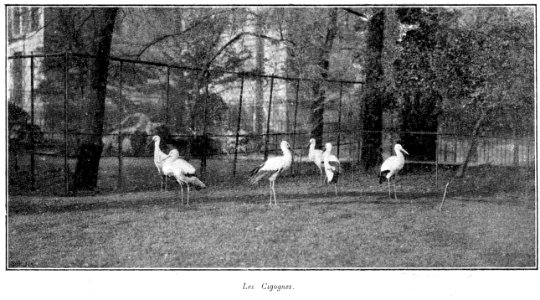 Clément Maurice Paris en plein air, BUC, 1897,141 Les Cigognes photo