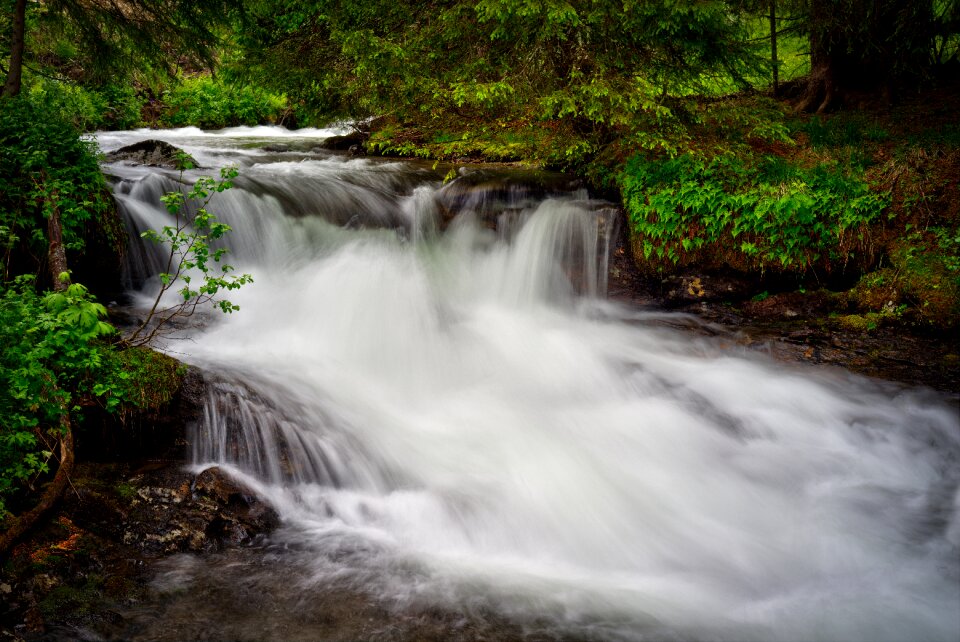 Stream nature engjadalen