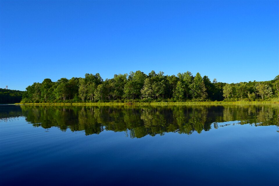 Water reflection nature