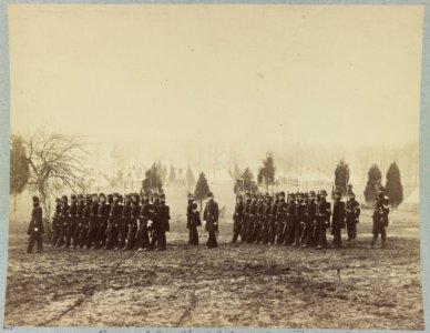 Co. - , 67th New York Infantry, Camp Proctor LCCN2013648624