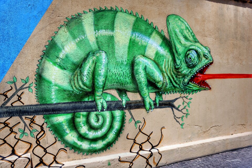 Graffiti verona italy