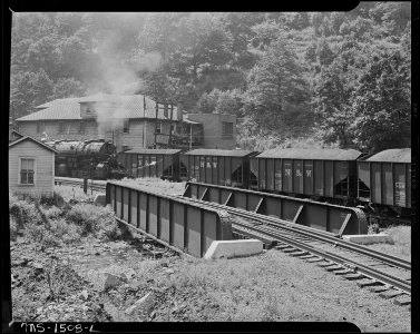 Coal cars near the company store. Gilliam Coal and Coke Co, Gilliam Mine, Gilliam, McDowell County, West Virginia. - NARA - 540828
