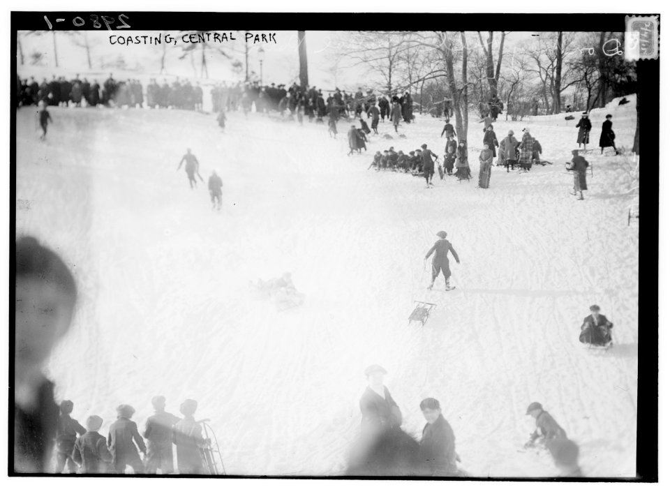 Coasting - Central Park LCCN2014695347