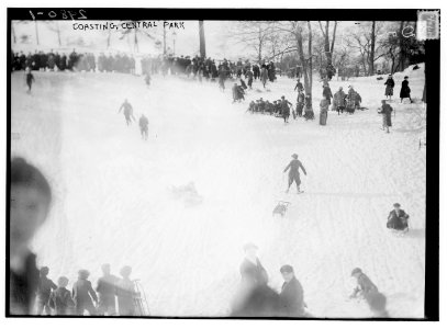 Coasting - Central Park LCCN2014695347 photo