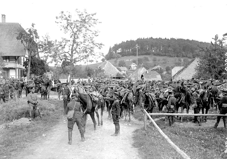 Bezug des Kantonnements der Feldartillerie wird organisiert - CH-BAR - 3239040