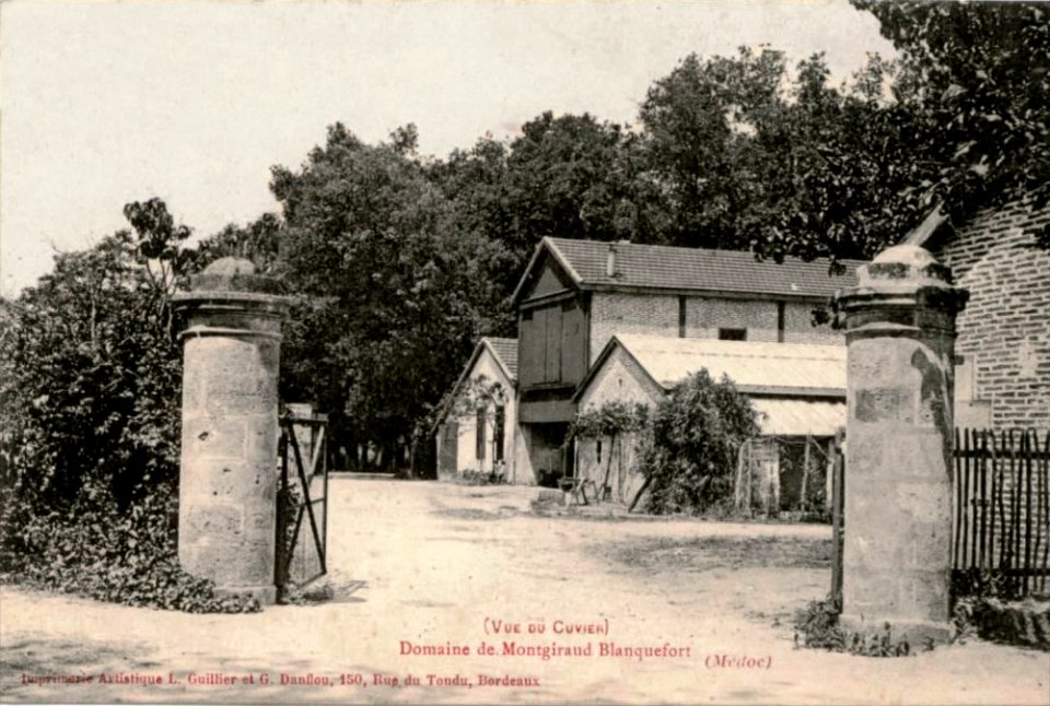 BF-Montgiraud cuvier