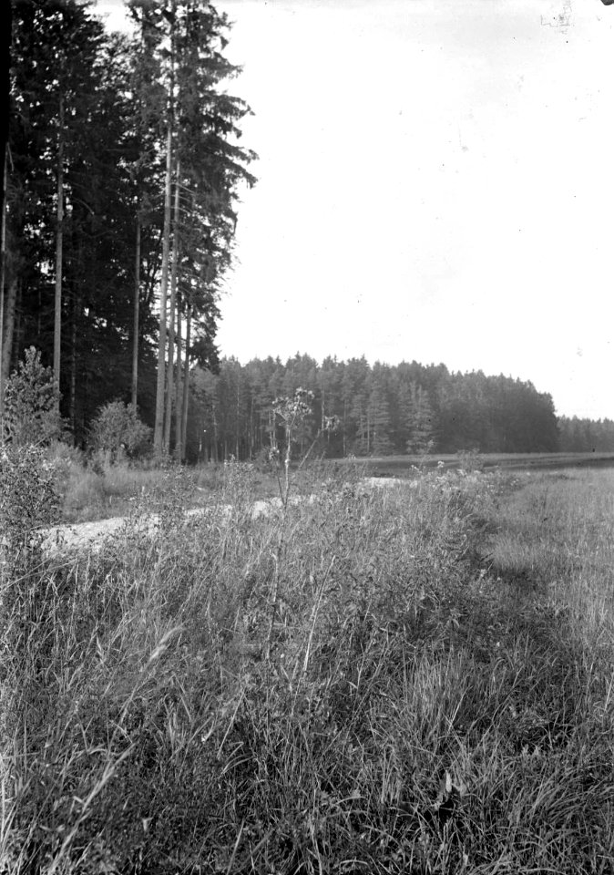 Biberach C S Langbein HStAS J 317 Nr 2 Bild 2