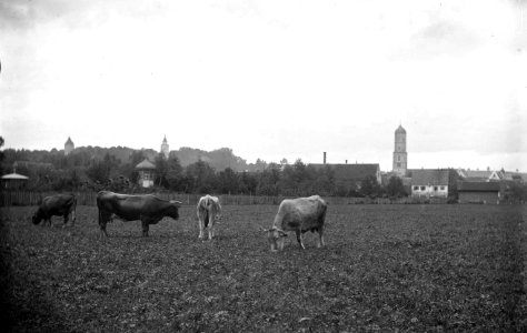 Biberach C S Langbein HStAS J 317 Nr 2 Bild 6