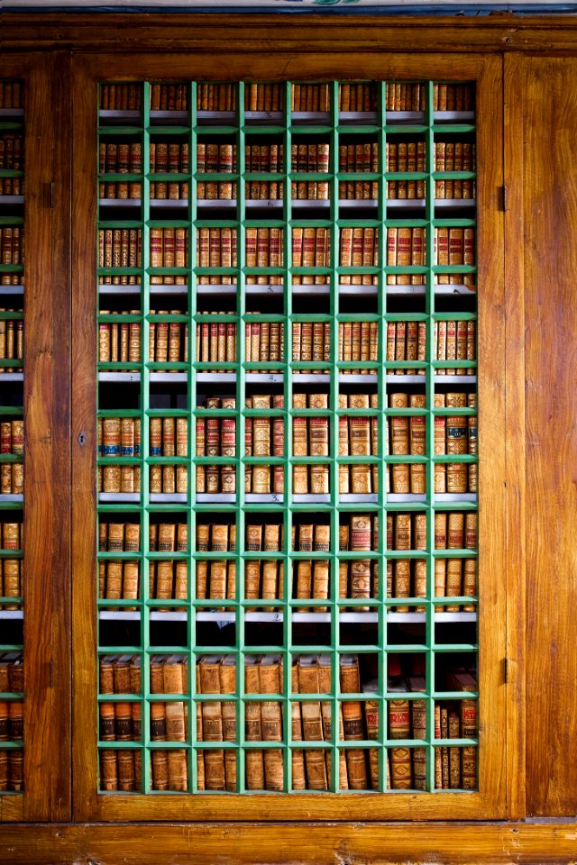 Biblioteket. Sektion med stängd dörr. Interiör, detalj. Bokhylla. Schefferbiblioteket - Skoklosters slott - 86263
