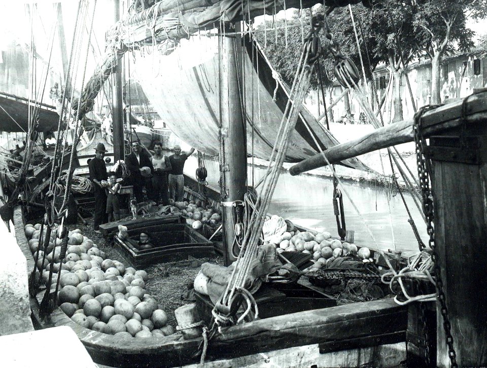 Biblioteca Federiciana, Anonimo, Fano, Pescatori nel porto, 1910 circa, gelatina a sviluppo