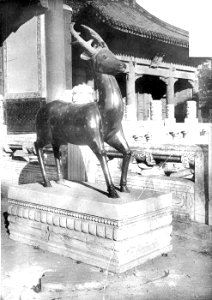 Biche en bronze du Palais Impérial photo
