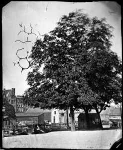 Bickersplein, Gezien in westelijke richting naar de Eilandsgracht en huizen en loodsen aan de Haarlemmer Houttuinen (max res) photo