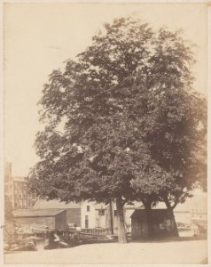 Bickersplein, Gezien naar Eilandsgracht en huizen en loodsen aan de Haarlemmer Houttuinen foto 2 (max res)
