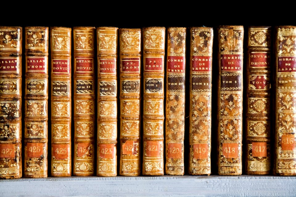 Biblioteket. Hylla med böcker. Interiör, detalj. Bokhylla. Schefferbiblioteket - Skoklosters slott - 86262