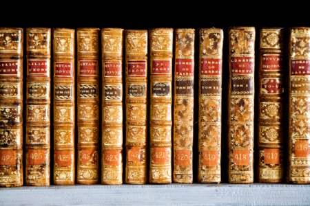 Biblioteket. Hylla med böcker. Interiör, detalj. Bokhylla. Schefferbiblioteket - Skoklosters slott - 86262