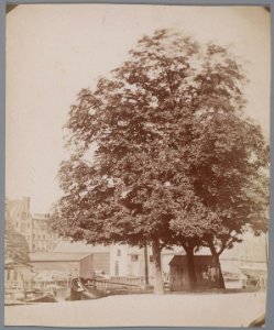 Bickersplein Gezien naar Eilandsgracht en huizen en loodsen aan de Haarlemmer Houttuinen (max res) photo