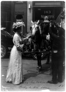Bide-A-Wee Home for Animals, New York, N.Y.- man putting sun hat on horse and woman holding another hat and reins of another horse LCCN2002717989