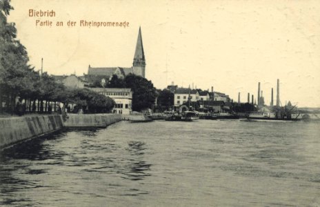 Biebrich (Rhein), Rheinland-Pfalz - Rheinpromenade (Zeno Ansichtskarten)