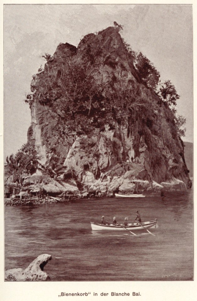 Bienenkorb blanche-bai, new guinea