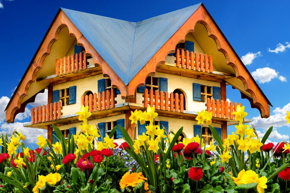 House spring flowers