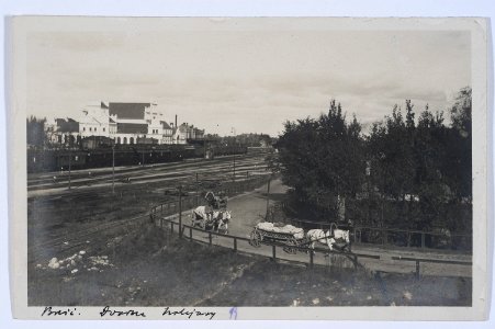 Bieraście Centralnaje. Берасьце Цэнтральнае (J. Vałynski, 1929) (8)
