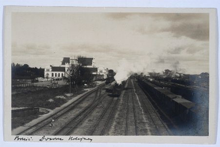Bieraście Centralnaje. Берасьце Цэнтральнае (J. Vałynski, 1929)