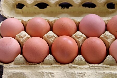 Egg box filled full