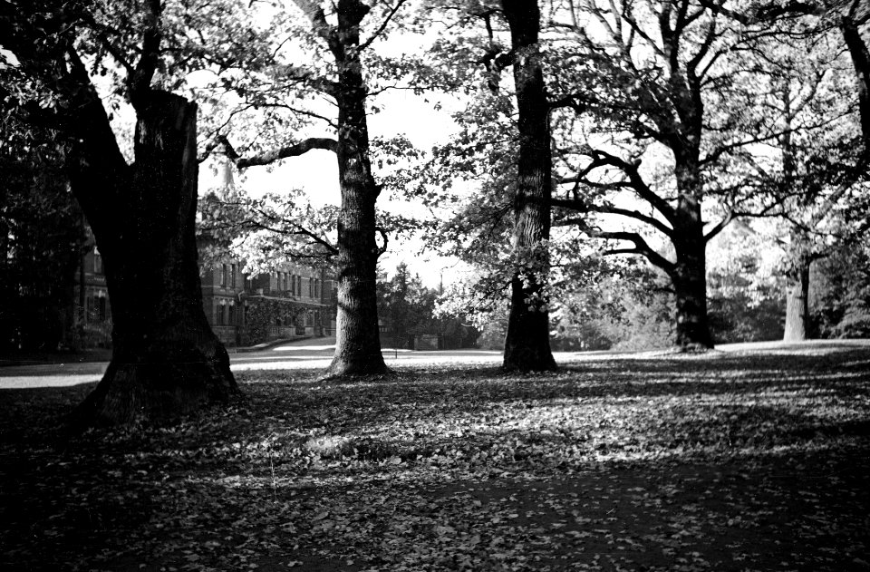 Biełavieža, Pałac. Белавежа, Палац (H. Poddębski, 1933) (6)