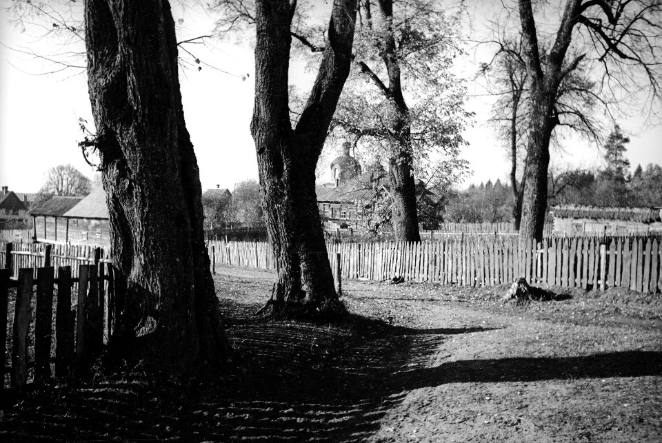 Biełavieža. Белавежа (H. Poddębski, 1937)