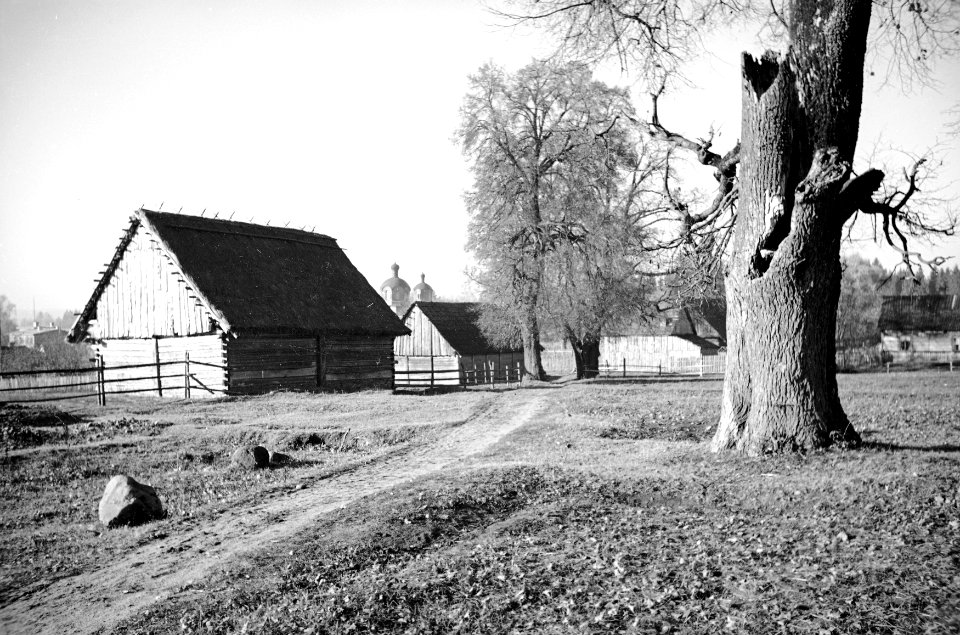 Biełavieža. Белавежа (H. Poddębski, 1933)