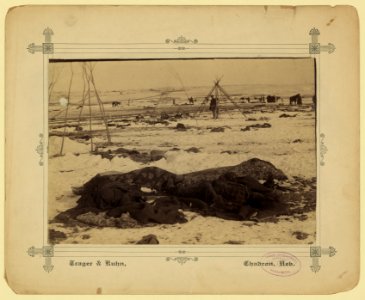Big Foot's camp three weeks after the Wounded Knee Massacre (Dec. 29, 1890), with bodies of several Lakota Sioux people wrapped in blankets in the foreground and U.S. soldiers in the LCCN2007678212