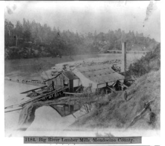 Big River Lumber Mills, Mendocino County LCCN2002719820