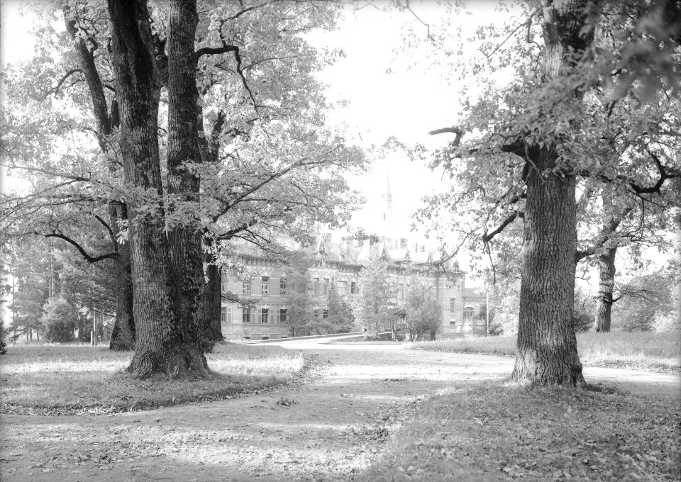Biełavieža, Pałac. Белавежа, Палац (H. Poddębski, 1933)