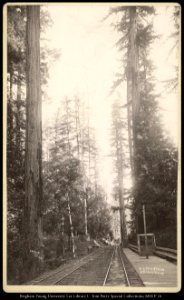Big Tree Station S.P. Coast N.G.R.R., C.R. Savage, Photo, Salt Lake.