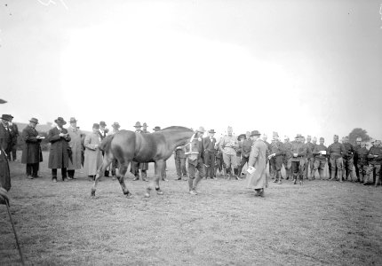 Bild vom Marché - Concours des Chevaux de Saignelégier - CH-BAR - 3239948
