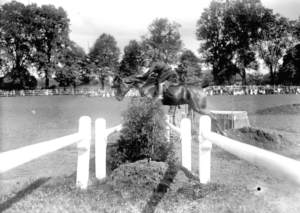Bild von der Springkonkurrenz der Kavallerie Rekrutenschule Bern - CH-BAR - 3239797