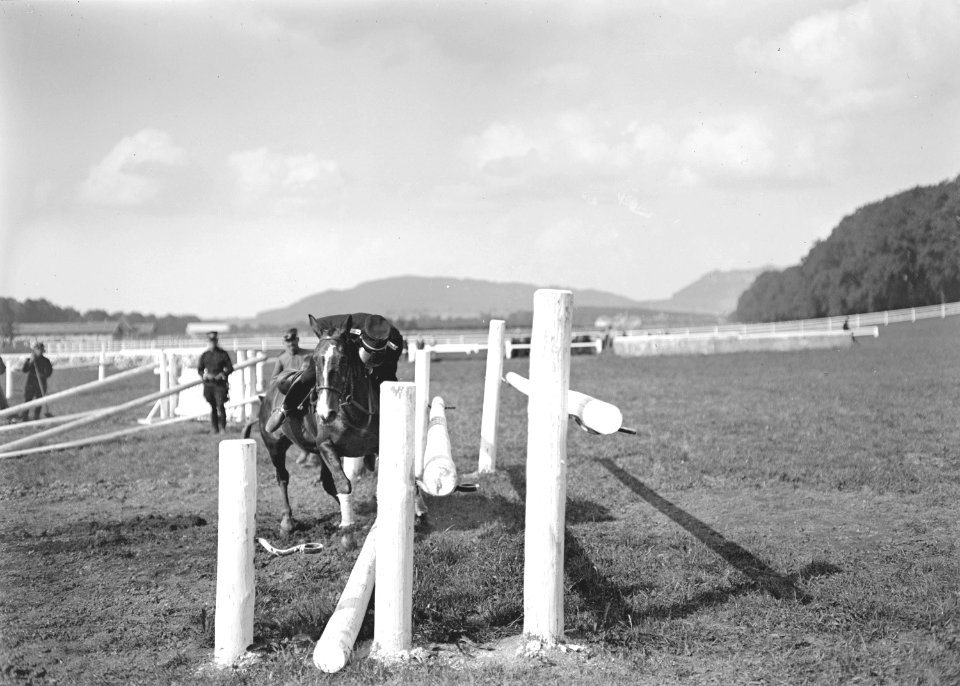 Bild von der Springkonkurrenz der Kavallerie Rekrutenschule Bern - CH-BAR - 3239799