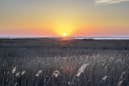 Grass field sunset photo