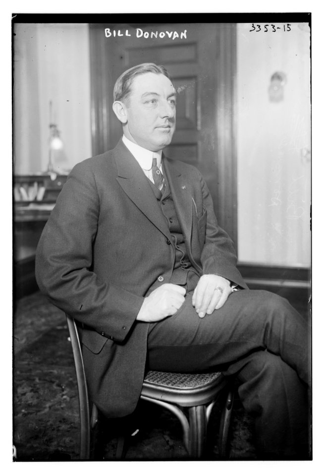 Bill Donovan LCCN2014698197