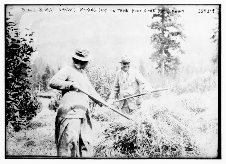 Billy and Ma Sunday making hay on their Hood River (Ore.) ranch LCCN2014699438