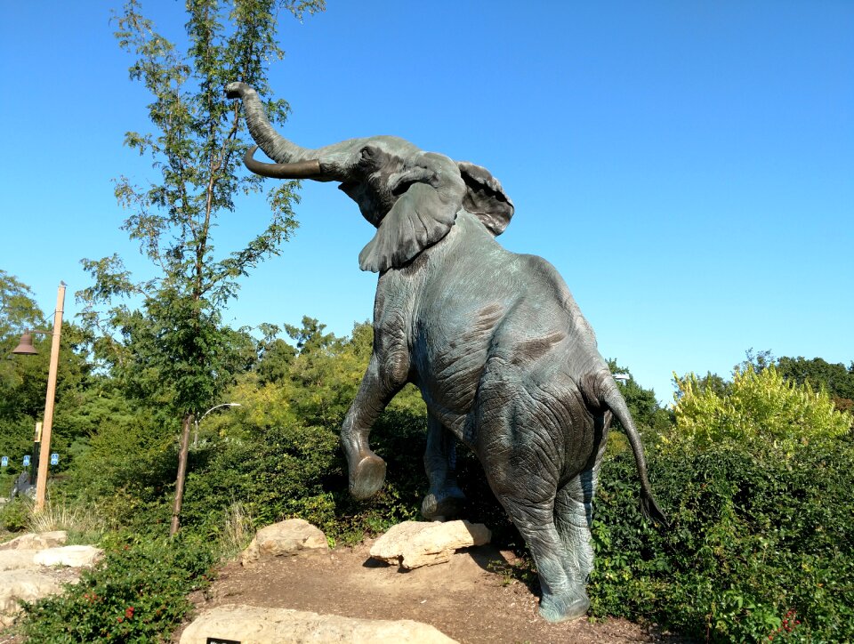 Zoo sculpture animal