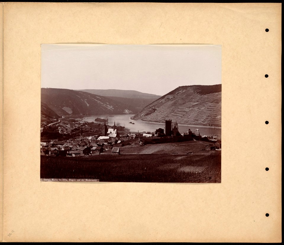 Bingen and Niederwald
