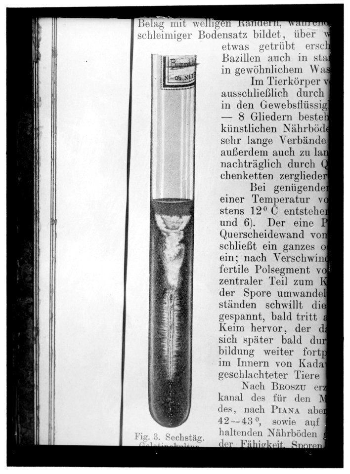 BIOLOGIST. GERM CULTURES LCCN2016866813