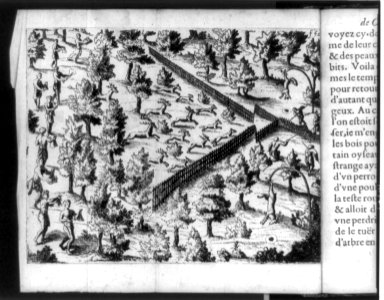 Bird's-eye view of a Native American deer hunt in New France (Canada), showing Indians driving deer towards fences into narrow enclosure to be killed, and two dead deer hanging from bent LCCN90705833