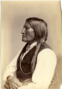 Bird chief, Native American